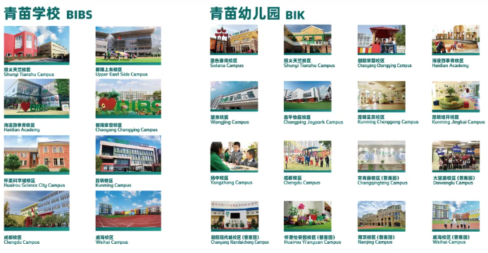威海南海新区青苗学校：2024-2025学年招生简章！