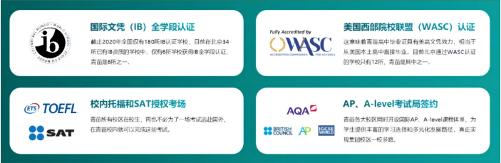 威海南海新区青苗学校：2024-2025学年招生简章！