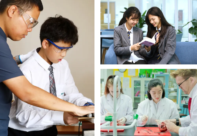 青苗学校开放日预约中(图4)
