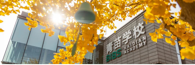 升学喜报 ！2025届青苗毕业生OFFER已经来了！(图4)