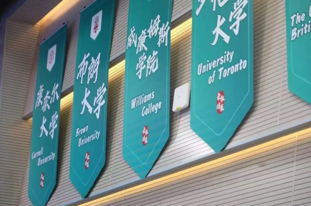 2024青苗学校大事件：璀璨星光下，为未来编织锦绣前程(图19)