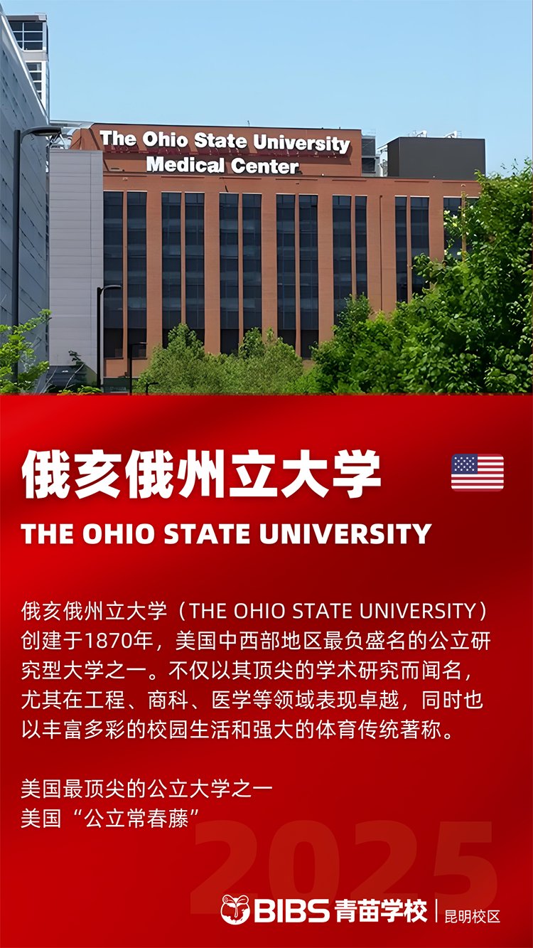 昆明青苗学校录取捷报｜两封美国“公立常春藤”Offer收入囊中！(图4)