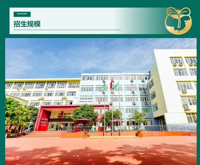 成都国际择校 | 成都市龙泉驿青苗学校2025年招生要点一览(图3)