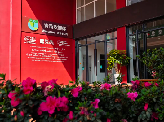 成都国际择校 | 成都市龙泉驿青苗学校2025年招生要点一览(图4)