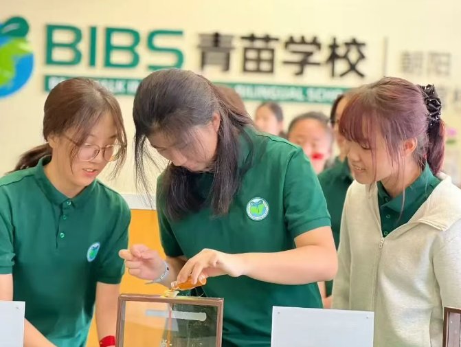 青苗开学日：1000 张笑脸点亮校园，携手书写新旅程(图32)