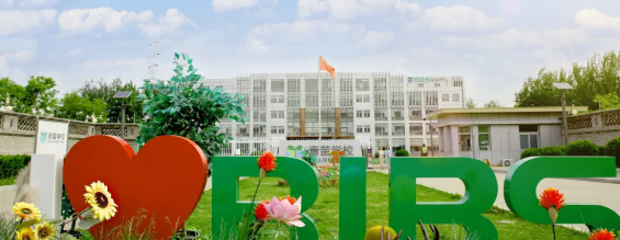 青苗学校2026-2027学年招生开启!最新入学指南速览(图4)